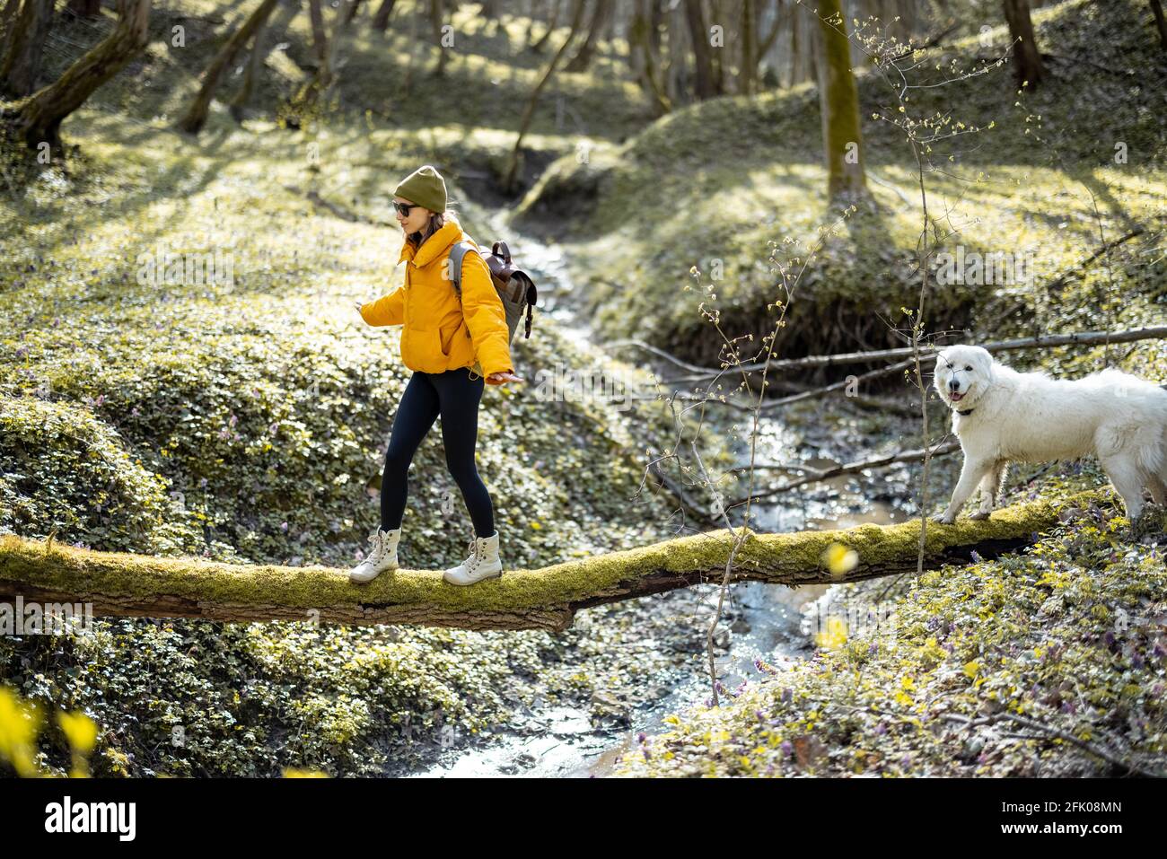 Une jeune femme en vêtements de randonnée et sac à dos passe du temps avec un grand chien blanc dans la forêt verte de printemps. Aime et explore la nature tranquille. Marche sur un arbre de l'autre côté de la rivière. Banque D'Images