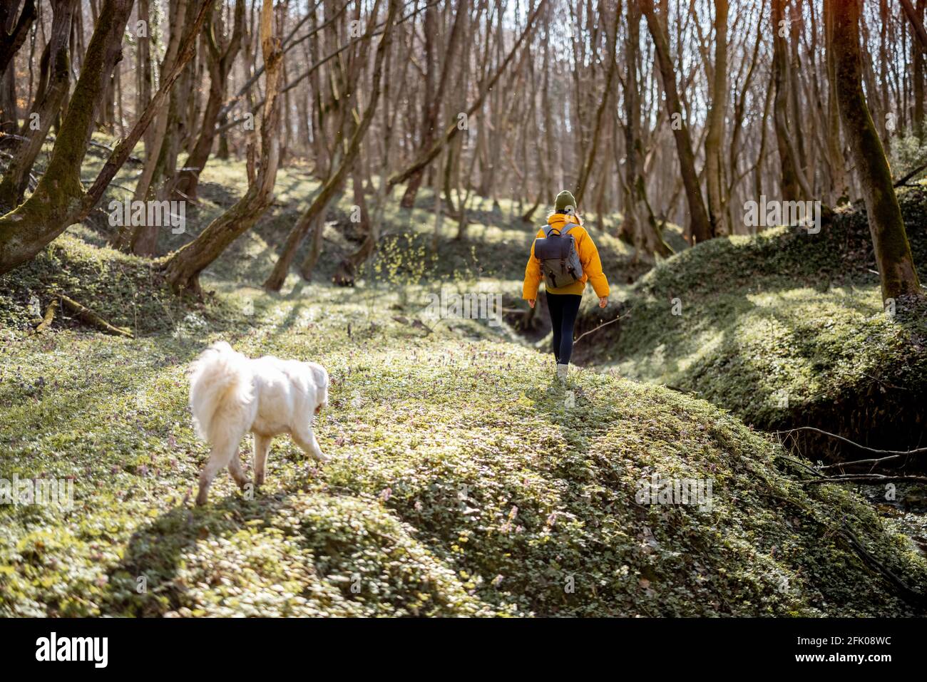 Une jeune femme en vêtements de randonnée et sac à dos passe du temps avec un grand chien blanc dans la forêt verte de printemps. Aime et explore la nature tranquille. Banque D'Images