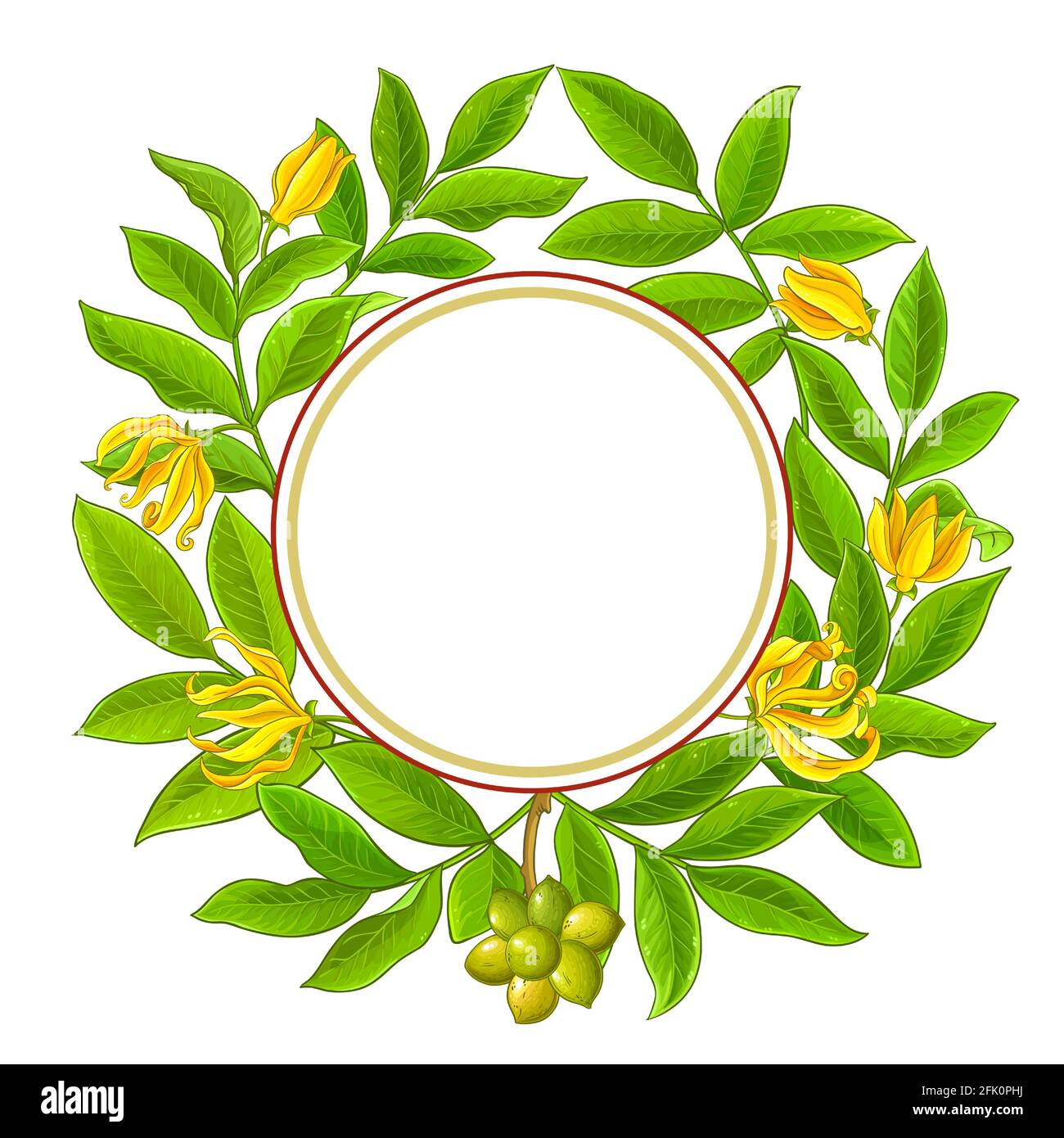 cadre de cercle ylang ylang sur fond blanc Illustration de Vecteur