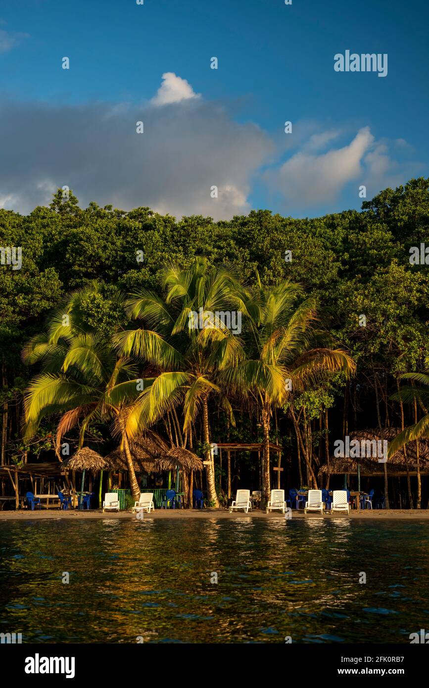 Starfish Beach au lever du soleil, île de Bocas del Toro, Panama, Amérique centrale Banque D'Images