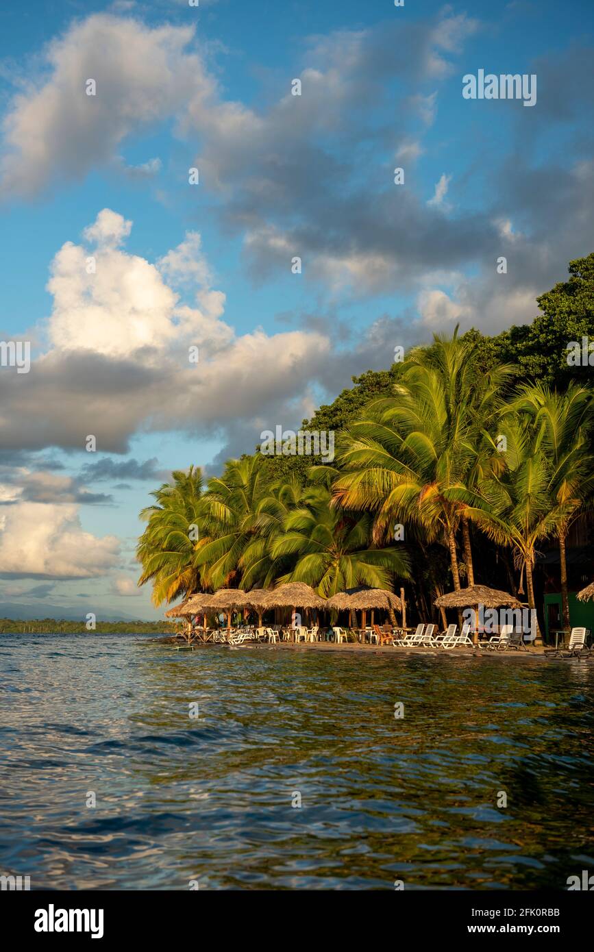 Starfish Beach au lever du soleil, île de Bocas del Toro, Panama, Amérique centrale Banque D'Images