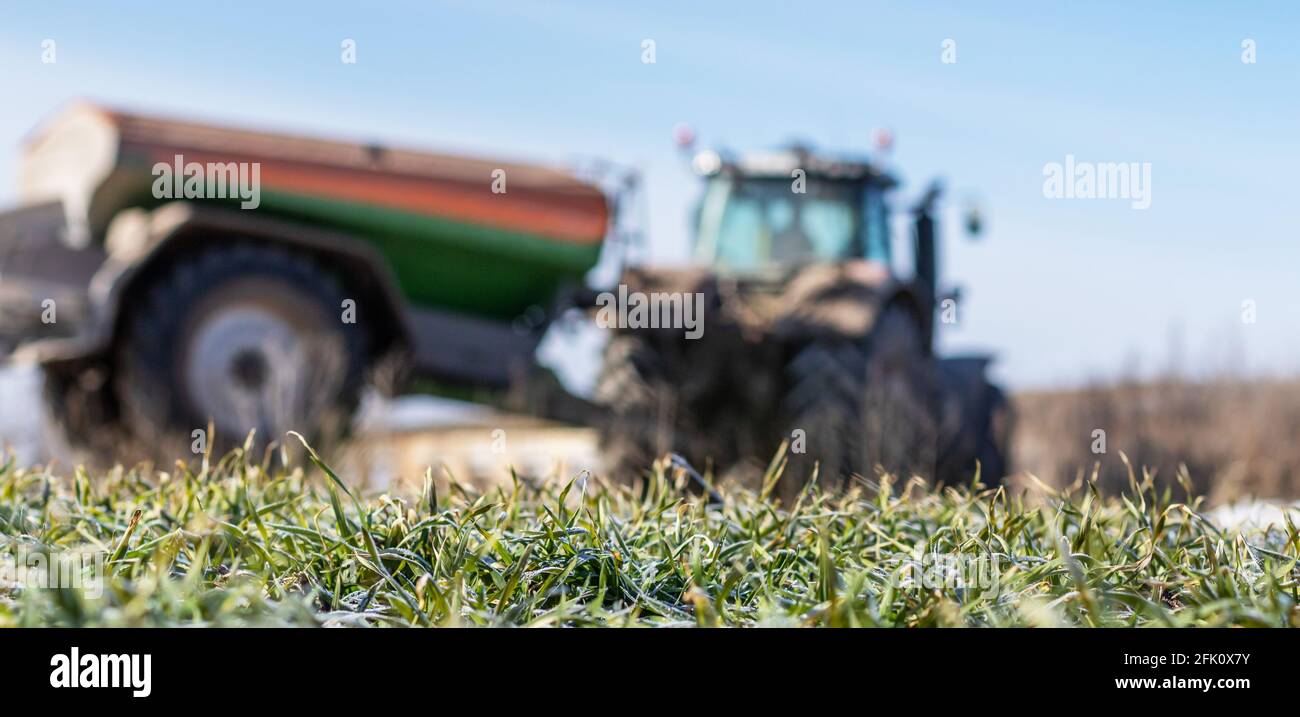 Ensemencement par les agriculteurs, semis de cultures au champ de gel Banque D'Images