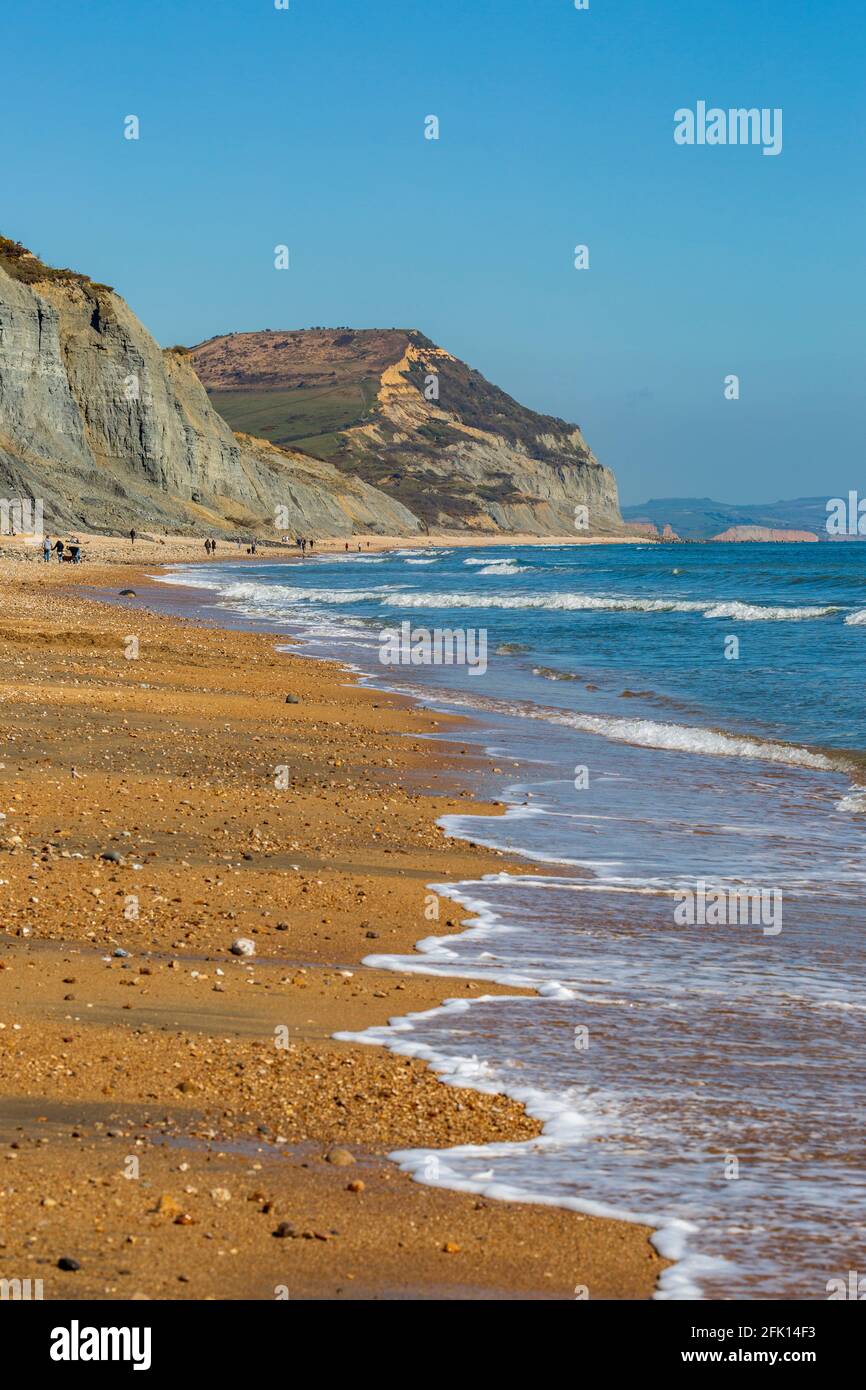 Vue sur Golden Cap sur la côte jurassique le long de la plage de Charmouth, Dorset, Angleterre Banque D'Images