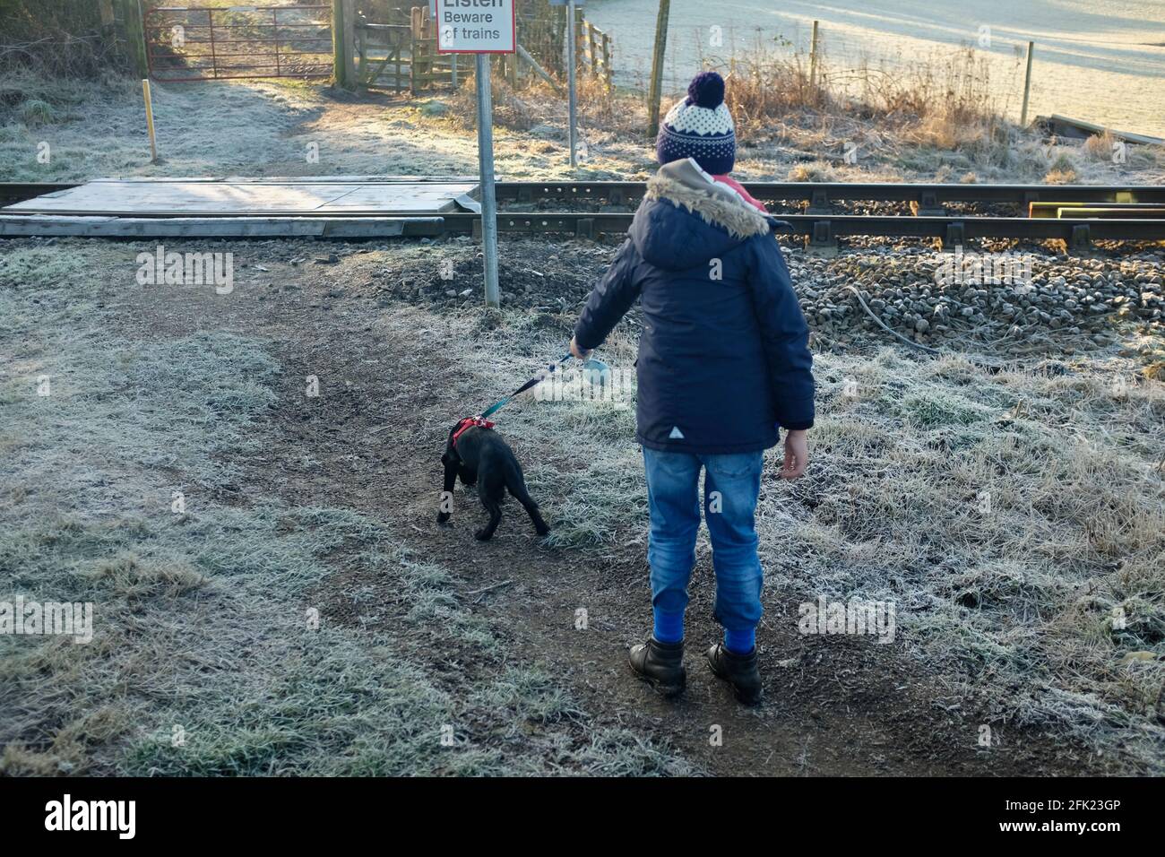 Boy Walking Black Labrador Puppy, Esk Valley, Moors National Park Centre, Saint-Sylvestre 2019 Banque D'Images