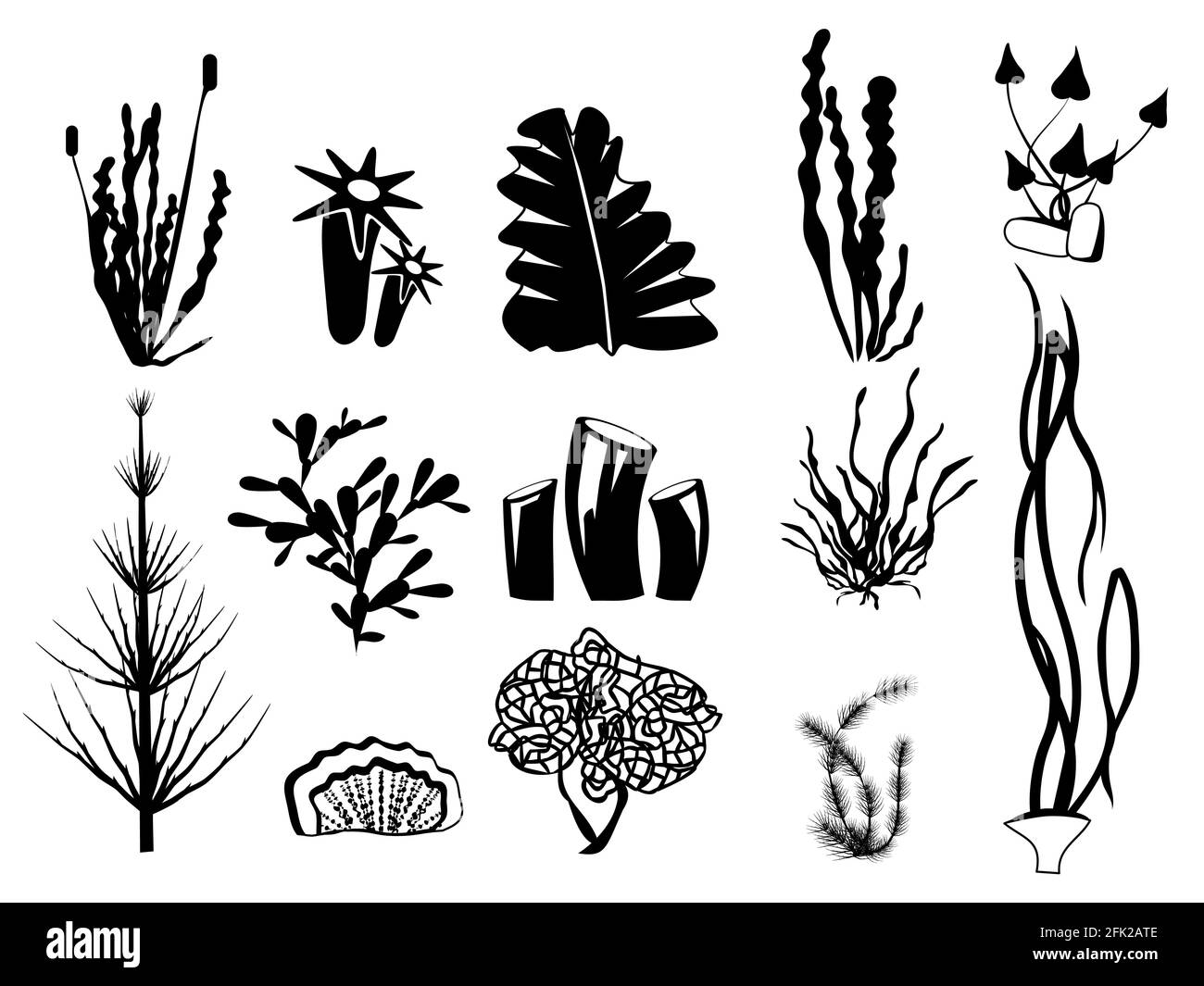 Silhouettes d'algues. Sous-marin plantes de rivière algues océan botanique faune vecteur symboles graphiques Illustration de Vecteur