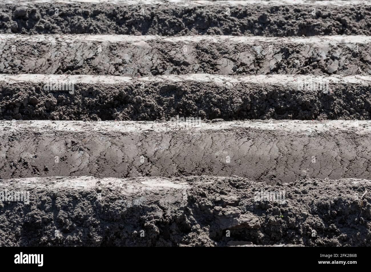 Terrain labouré avec sillons horizontaux Banque D'Images