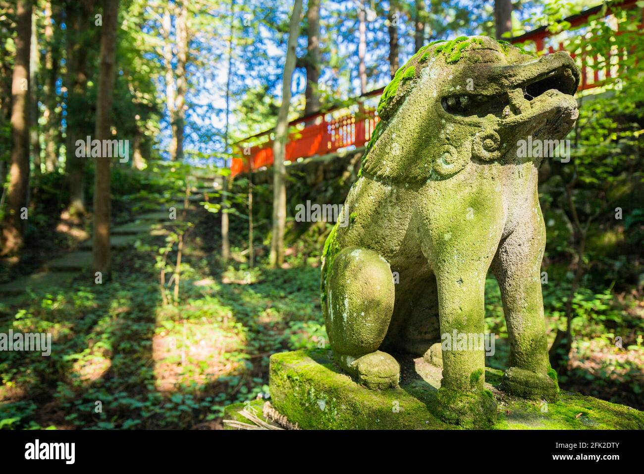 Statue de chien de Lion en pierre recouverte de mousse verte dans un sanctuaire japonais dans une forêt à Takayama, au Japon. Banque D'Images