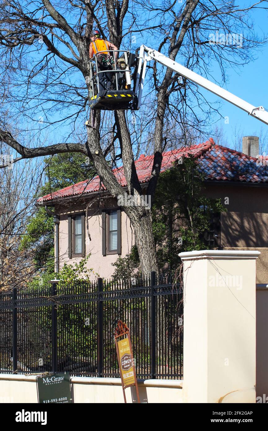 Tulsa Oklahoma USA 3 6 2018-travailleur sur une grue dans un arbre inspectant les branches à couper dans les environs haut de gamme Banque D'Images