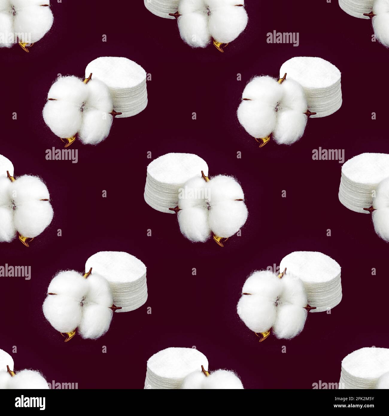 Fleurs de coton blanc sec et blocs motif sans couture sur fond sombre. Banque D'Images