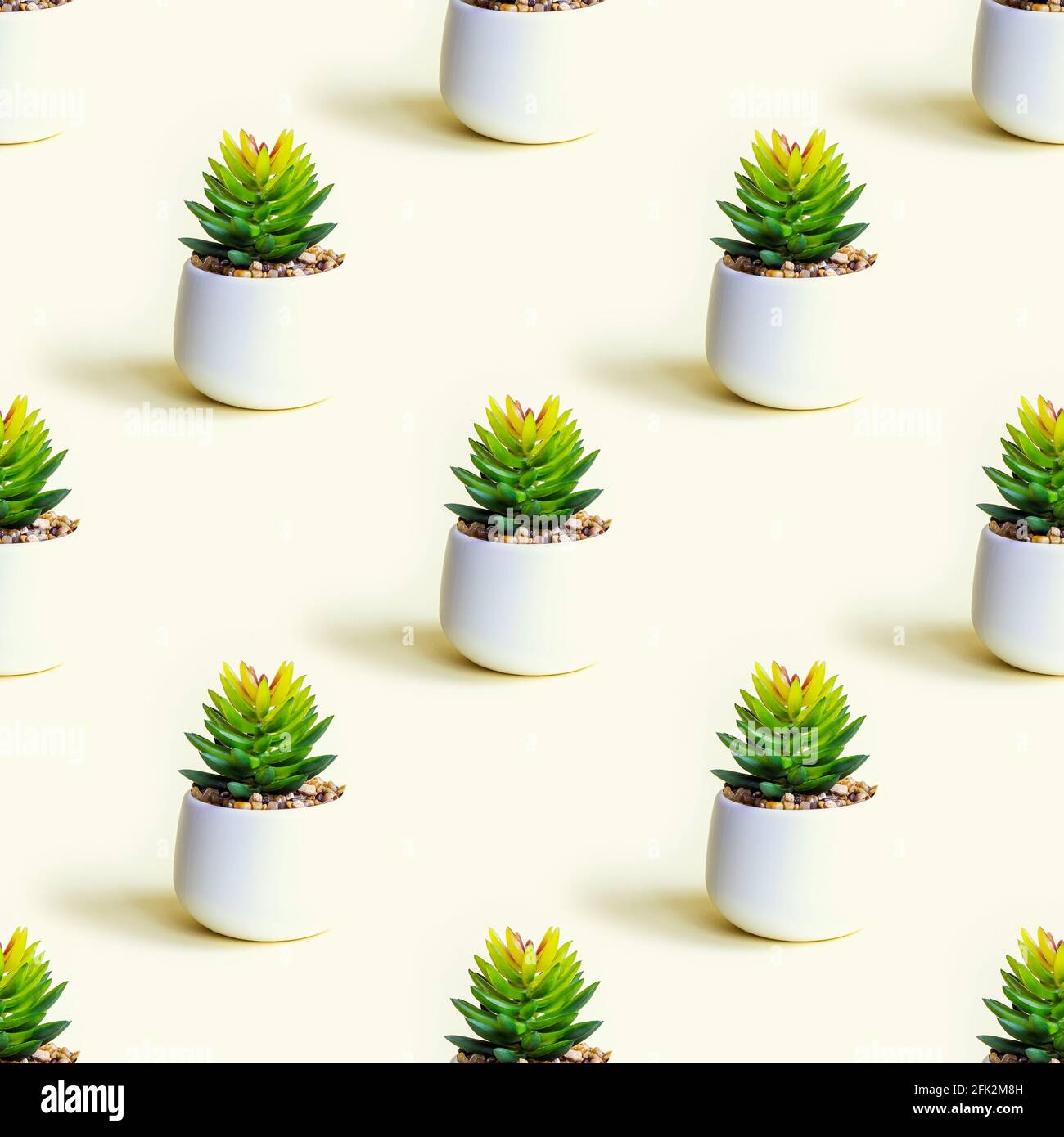 Plante de fleur verte succulente dans le pot répéter sans couture modèle sur fond jaune clair. Banque D'Images
