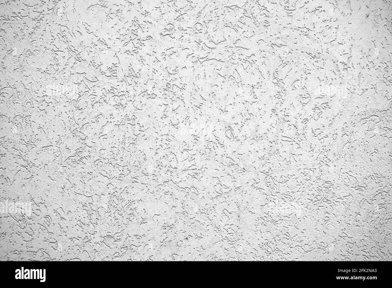 La texture du plâtre est le scarabée sur le mur. Texture grise transparente. Banque D'Images