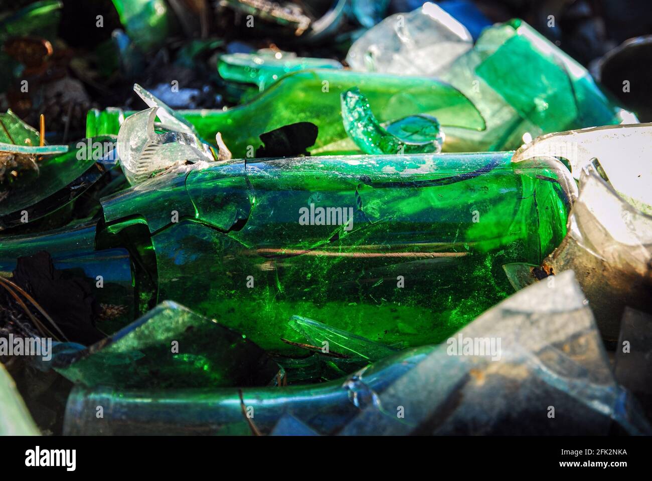 Bouteilles de verre cassées, décharge dans la forêt, problème de pollution Banque D'Images
