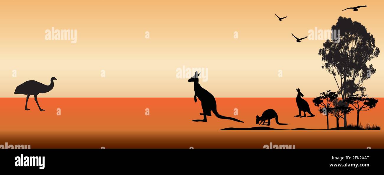 Animaux australiens avec des arbres et des oiseaux volant. Coucher de soleil avec avant-plan orange et arrière-plan jaune. Silhouette d'animaux et d'arbres Illustration de Vecteur