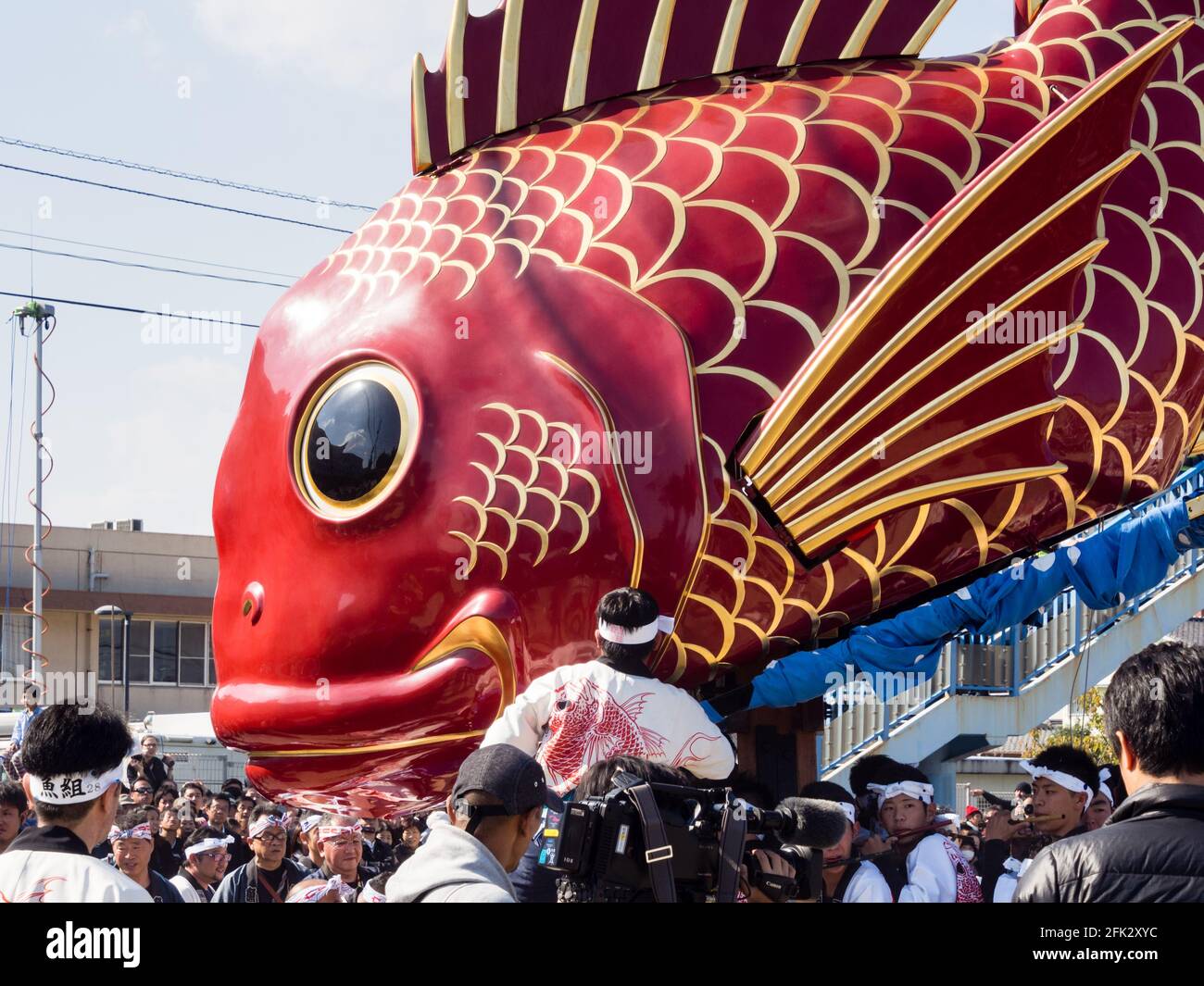 Caratsu, Japon - 3 novembre 2016 : la cérémonie d'Otabisho Shinko est le principal événement du festival de Caratsu Kunchi; des flotteurs massifs et colorés sont tirés thr Banque D'Images