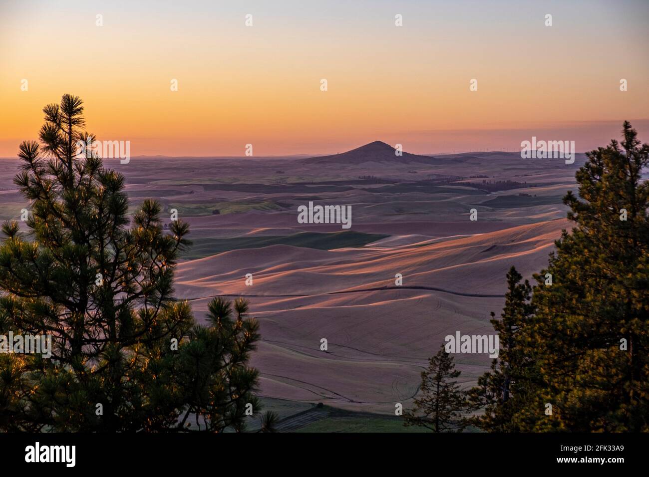 Vue depuis Kamiak Butte sur les champs de blé Palouse de l'est de l'État de Washington, États-Unis Banque D'Images