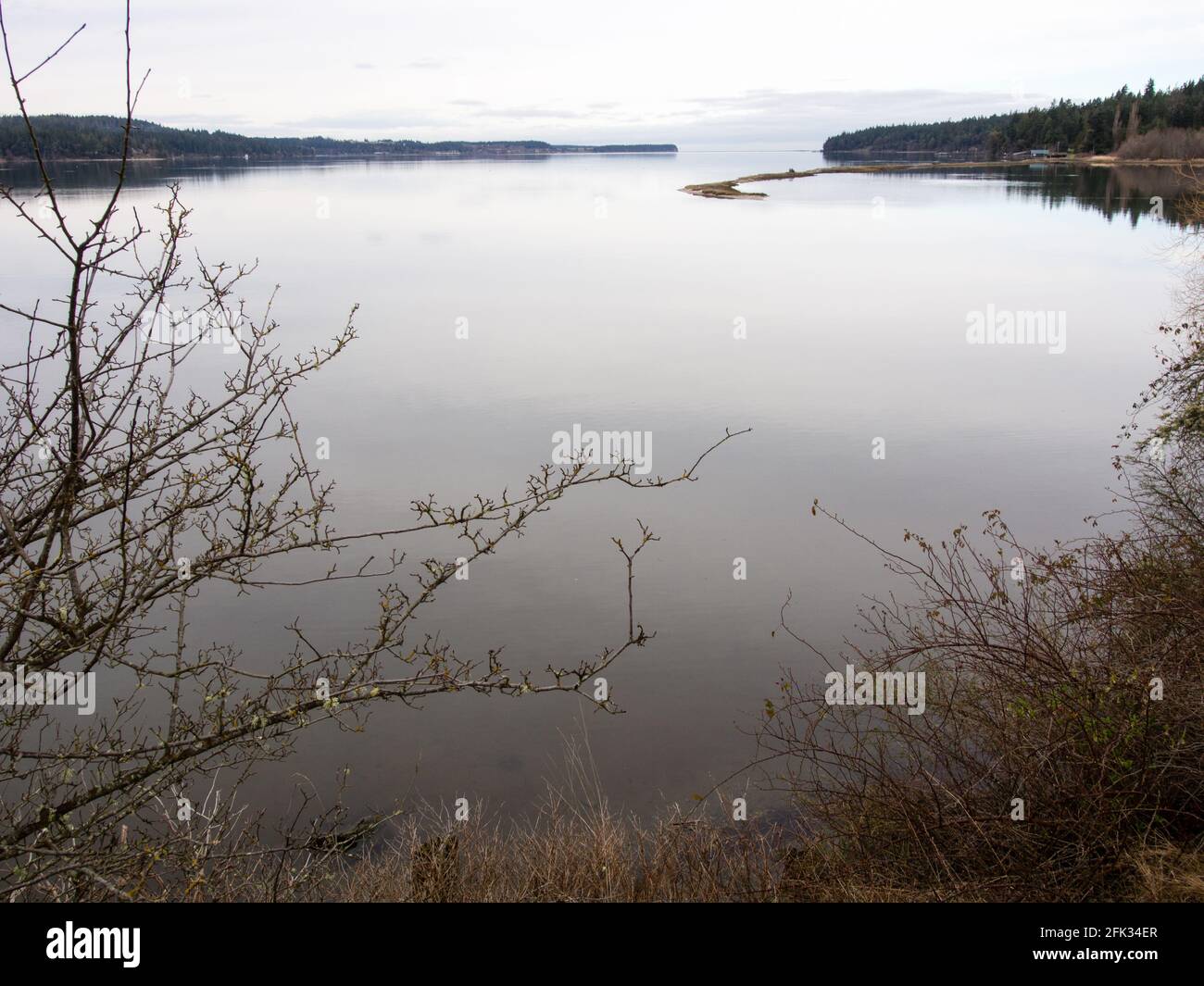 Paysage d'hiver de la péninsule olympique dans l'État de Washington, États-Unis Banque D'Images