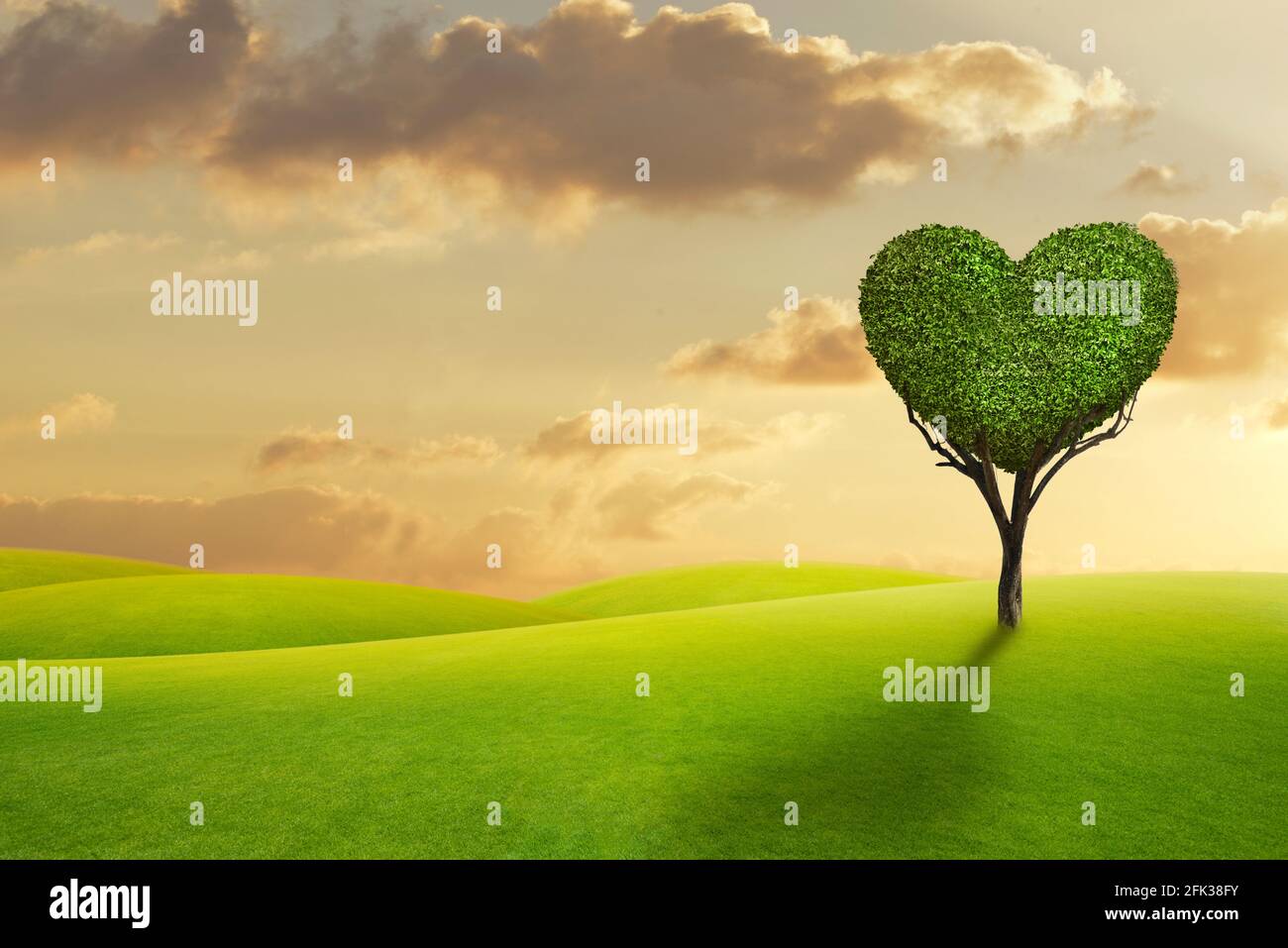 Champ vert avec arbre en forme de coeur sur fond de coucher de soleil. Banque D'Images
