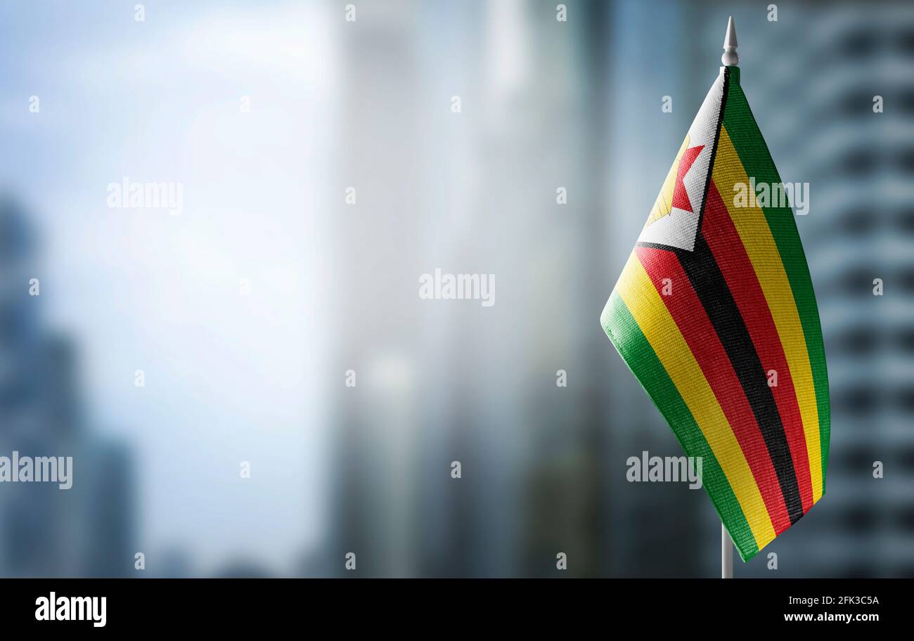 Un petit drapeau du Zimbabwe sur le fond d'un arrière-plan flou Banque D'Images