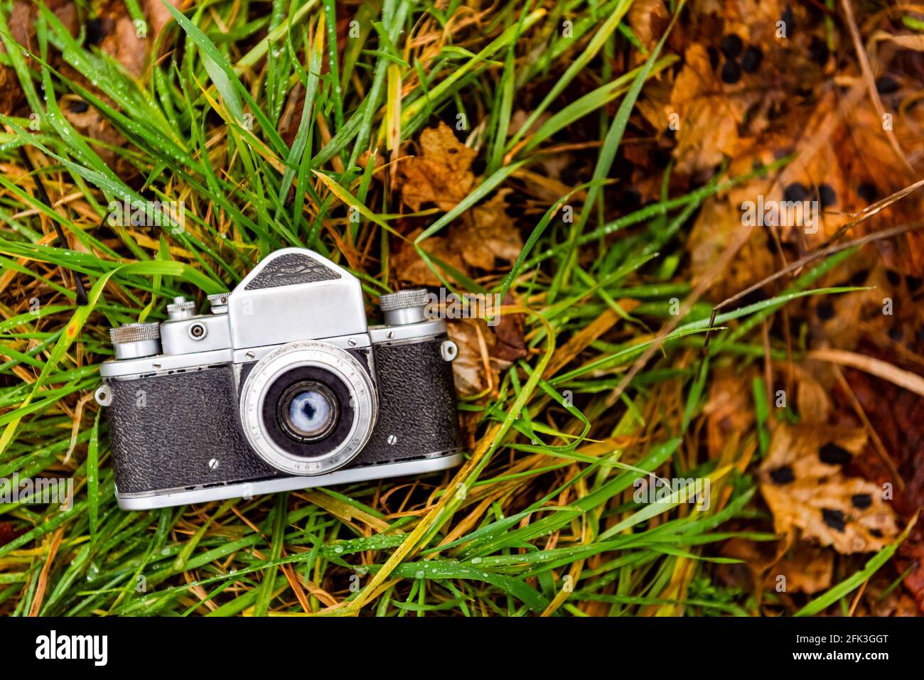 ancien appareil photo à film posé sur une herbe verte dans une forêt profonde, fond naturel. photo de gros plan horizontale Banque D'Images