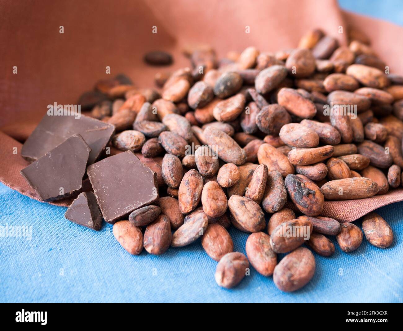 Grains de cacao crus et barre de chocolat. Un antidépresseur naturel et un super aliment Banque D'Images