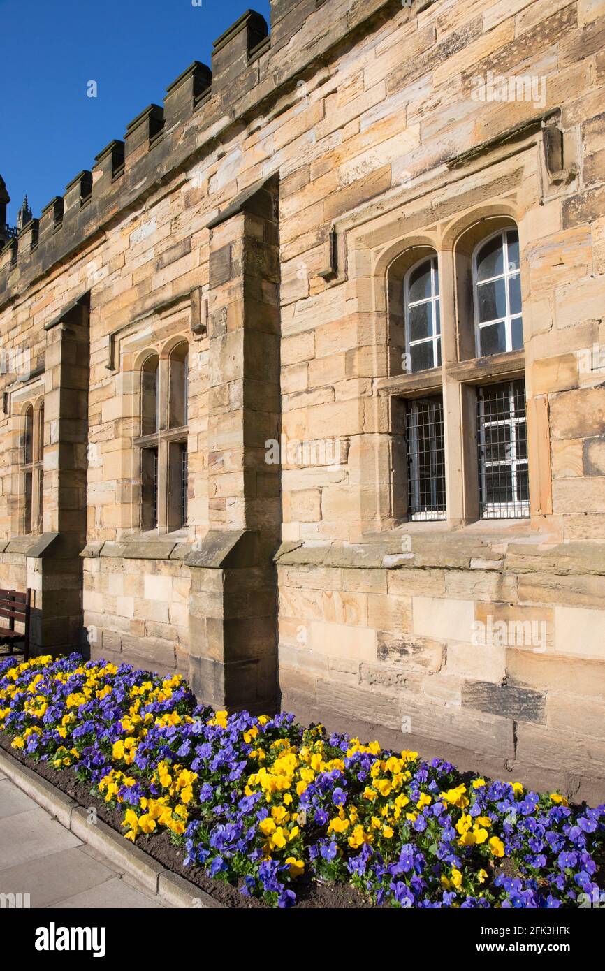 Durham, comté de Durham, Angleterre. Face est ensoleillée de la bibliothèque universitaire du XVIIe siècle, Palace Green. Banque D'Images