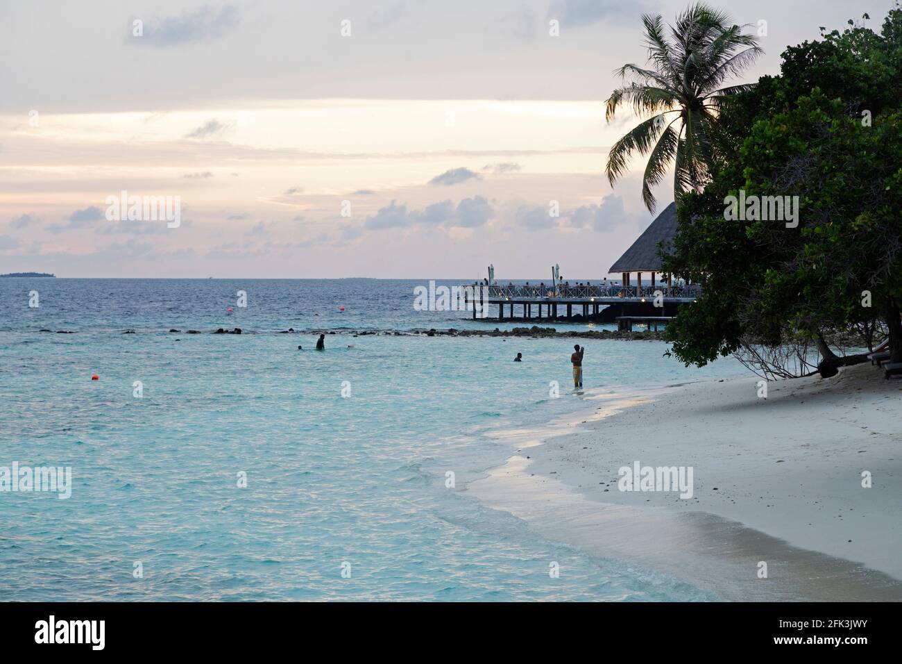 Les vacanciers apprécient de se baigner en soirée dans la mer à l'île de Bandos, aux Maldives. Banque D'Images