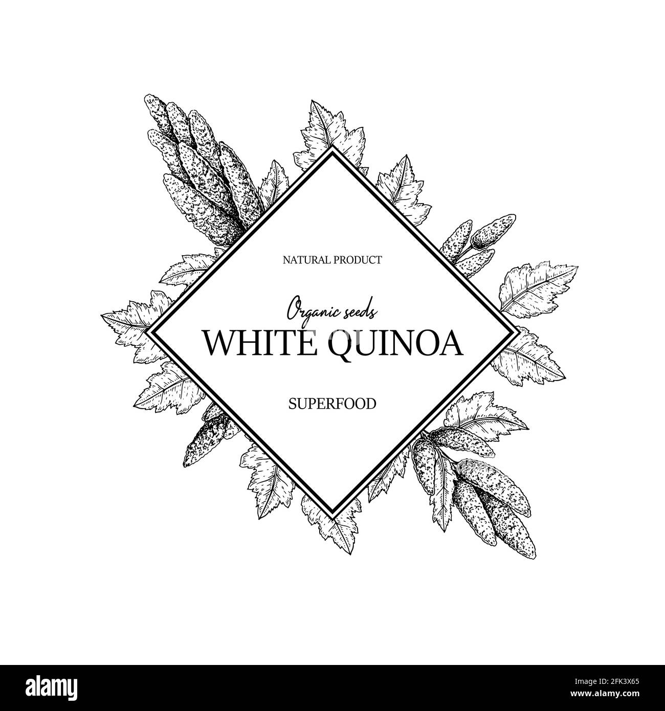 Cadre de quinoa dessiné à la main. Illustration vectorielle dans le style d'esquisse. Illustration de Vecteur