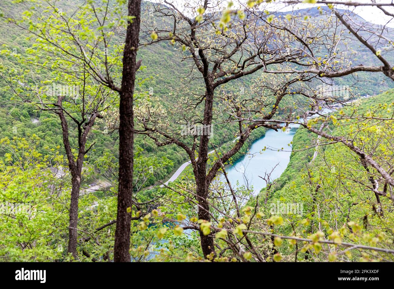Paysage paisible de la rivière calme Soca (Isonzo) qui coule à travers la forêt dans la vallée. Vue depuis le mont Sabotin, Slovénie Banque D'Images