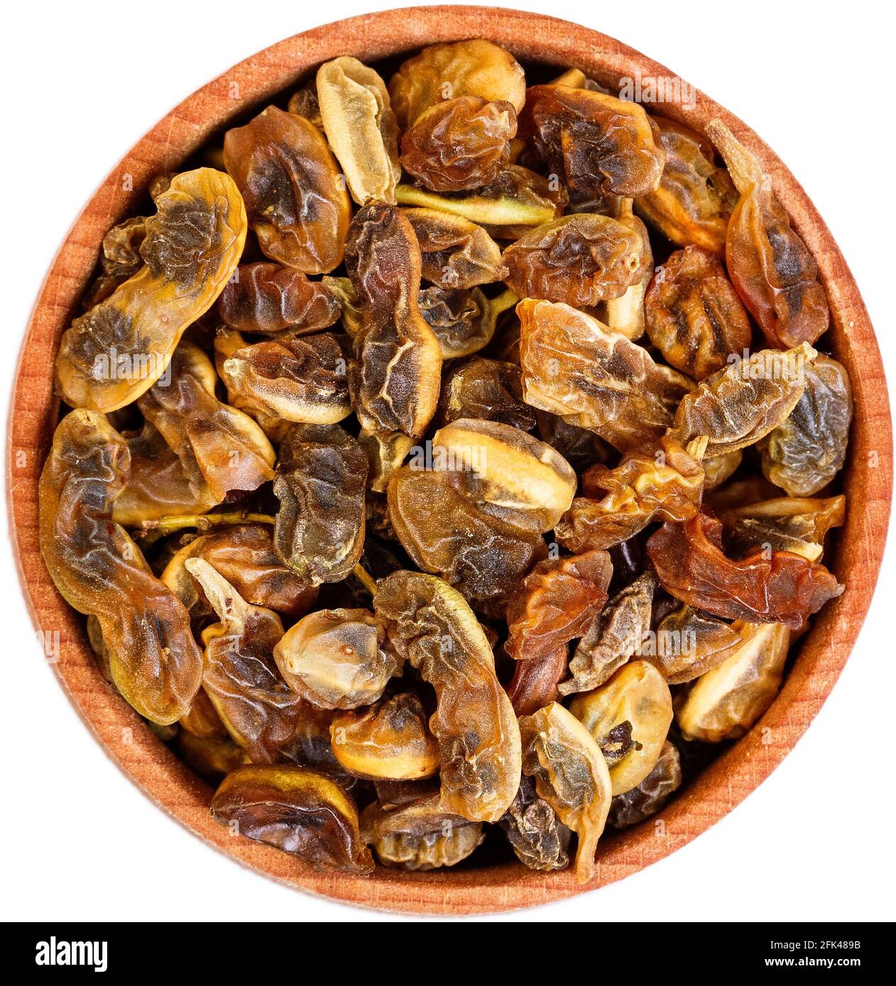 Haricots secs de sophora japonica dans un petit noeud en bois isolé sur blanc. Banque D'Images