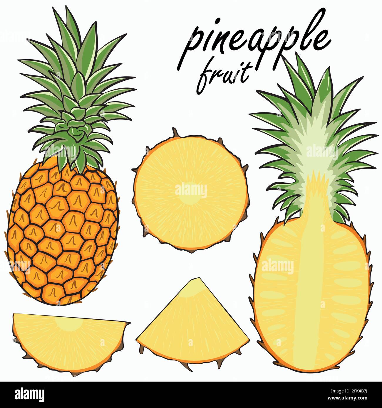 Ensemble de fruits à l'ananas. Collection vectorielle de fruits exotiques. Quartiers entiers, demi-morceaux et ananas. Illustration en couleur dessinée à la main. Illustration de Vecteur