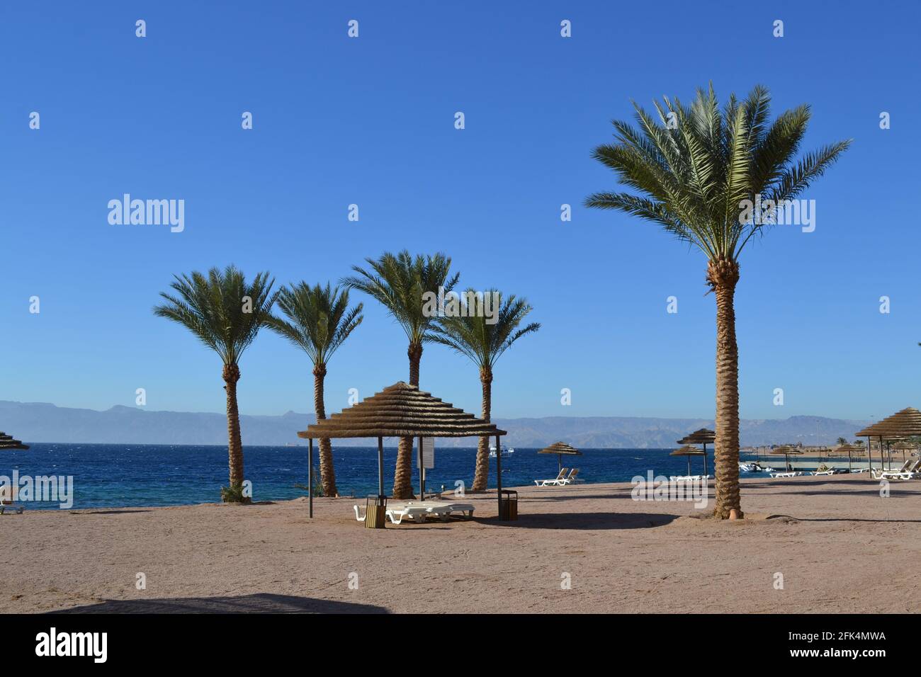 Jordan Beach avec palmiers, lits et cabanas. Avec un magnifique océan bleu. Banque D'Images