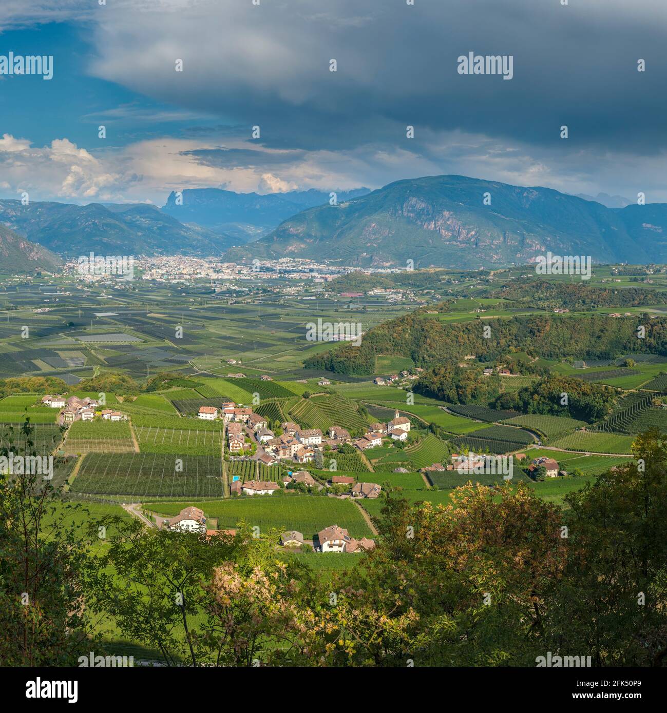 Vue vers Bozen dans la vallée de l'Adige *** Légende locale *** Eppan an der Weinstraße - Appiano sulla strada del vino, , Italie, ville, village, champ Banque D'Images