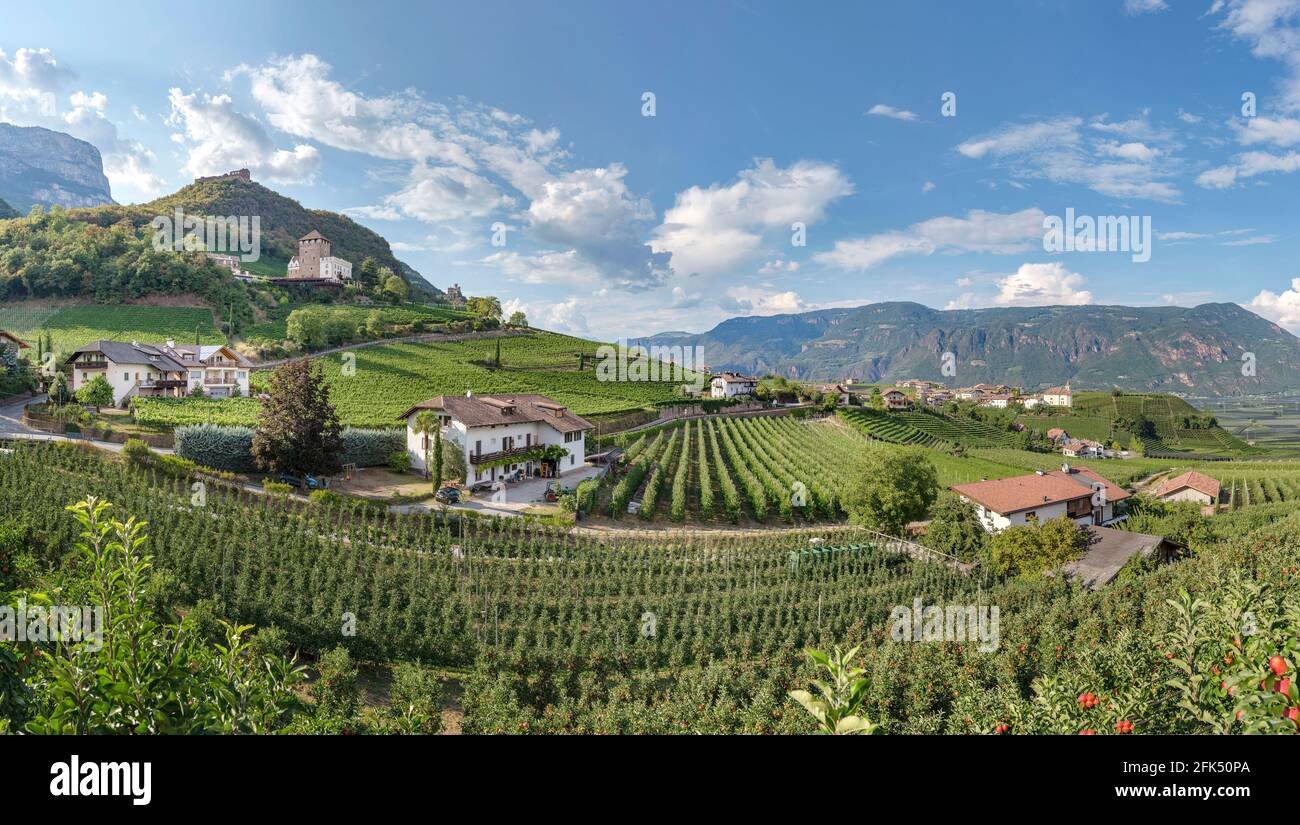 Resort Schloss Hotel Korb parmi les vignobles *** Légende locale *** Eppan an der Weinstraße - Appiano sulla strada del vino, , Italie, château, summe Banque D'Images