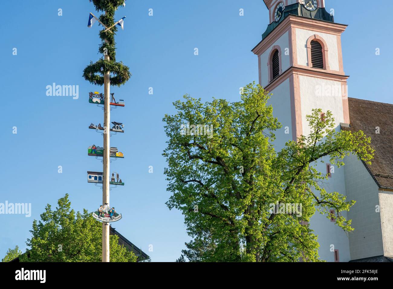 Der frisch aufgestellte Maibaum in Weildorf (Gemeinde Teisendorf) im Berchtesgadener Rupertiwinkel er steht auf dem Dorfplatz des bäuerlich geprägten Banque D'Images