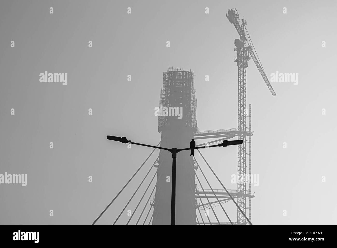 photo en noir et blanc d'un oiseau assis sur un poteau au pont signature, delhi. Banque D'Images