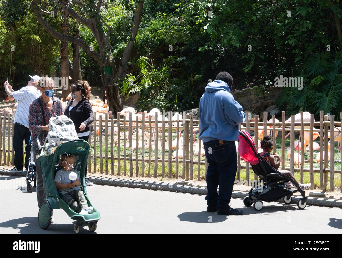 Un enfant dans une poussette souffle des bulles au Los Zoo d'Angeles Banque D'Images
