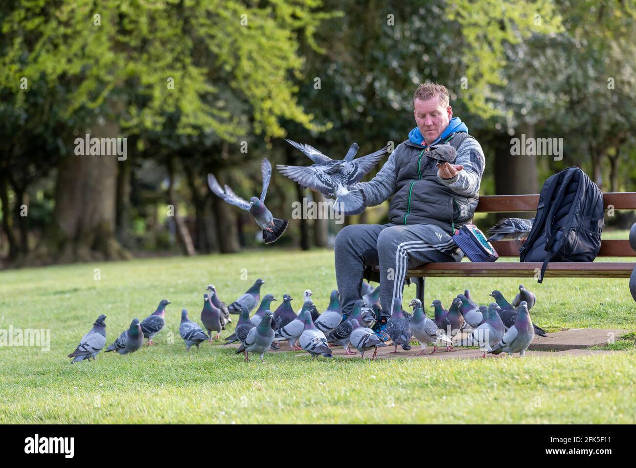 Northampton, Royaume-Uni. 28 avril 2021. Gary Stone un lad local nourrit les pigeons tous les soirs à Abington Park. Crédit : Keith J Smith./Alamy Live News Banque D'Images