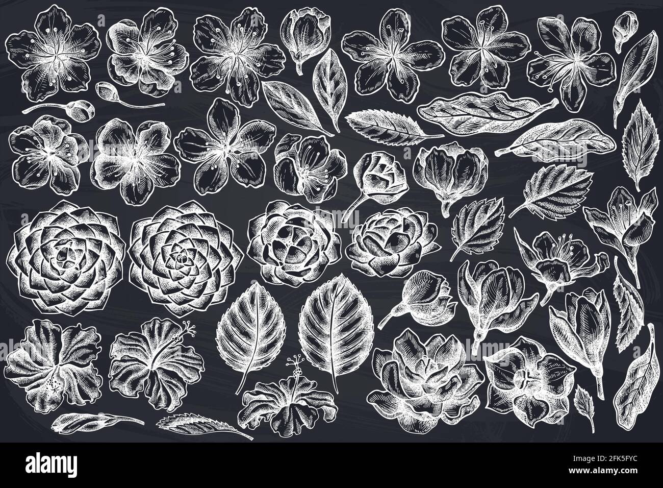 Ensemble vectoriel d'hibiscus de craie dessinés à la main, fleurs de prune, fleurs de pêche, fleurs de sakura, fleurs de magnolia, camellia japonica Illustration de Vecteur