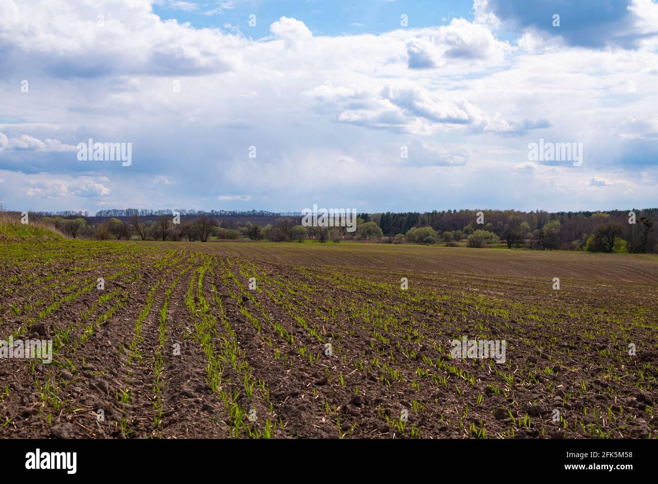 champ labouré et nuages au printemps . Banque D'Images