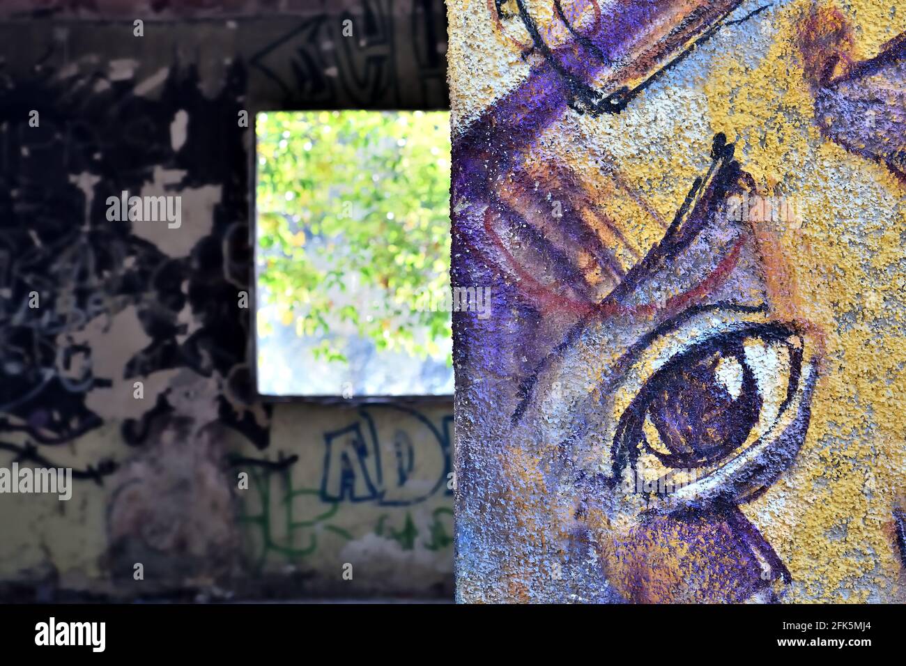 Joli graffiti d'un triste oeil pleurant peint sur le mur d'une maison abandonnée en ruines dans la campagne Banque D'Images