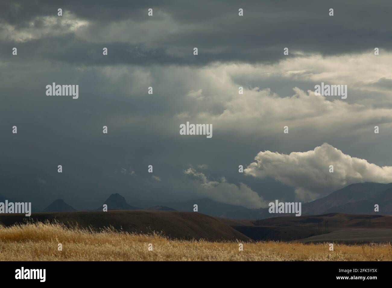 Tempête d'hiver, pluie, chaîne côtière, montagnes Diablo, vallée de San Joaquin, Los Banos, Merced County, Californie Banque D'Images