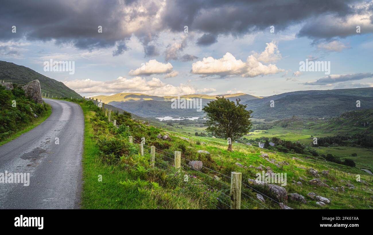Paysage avec un seul arbre sur la colline et la route sinueuse. MacGillycuddys reeks montagnes illuminées par la lumière du soleil, Black Valley, Ring of Kerry, Irlande Banque D'Images