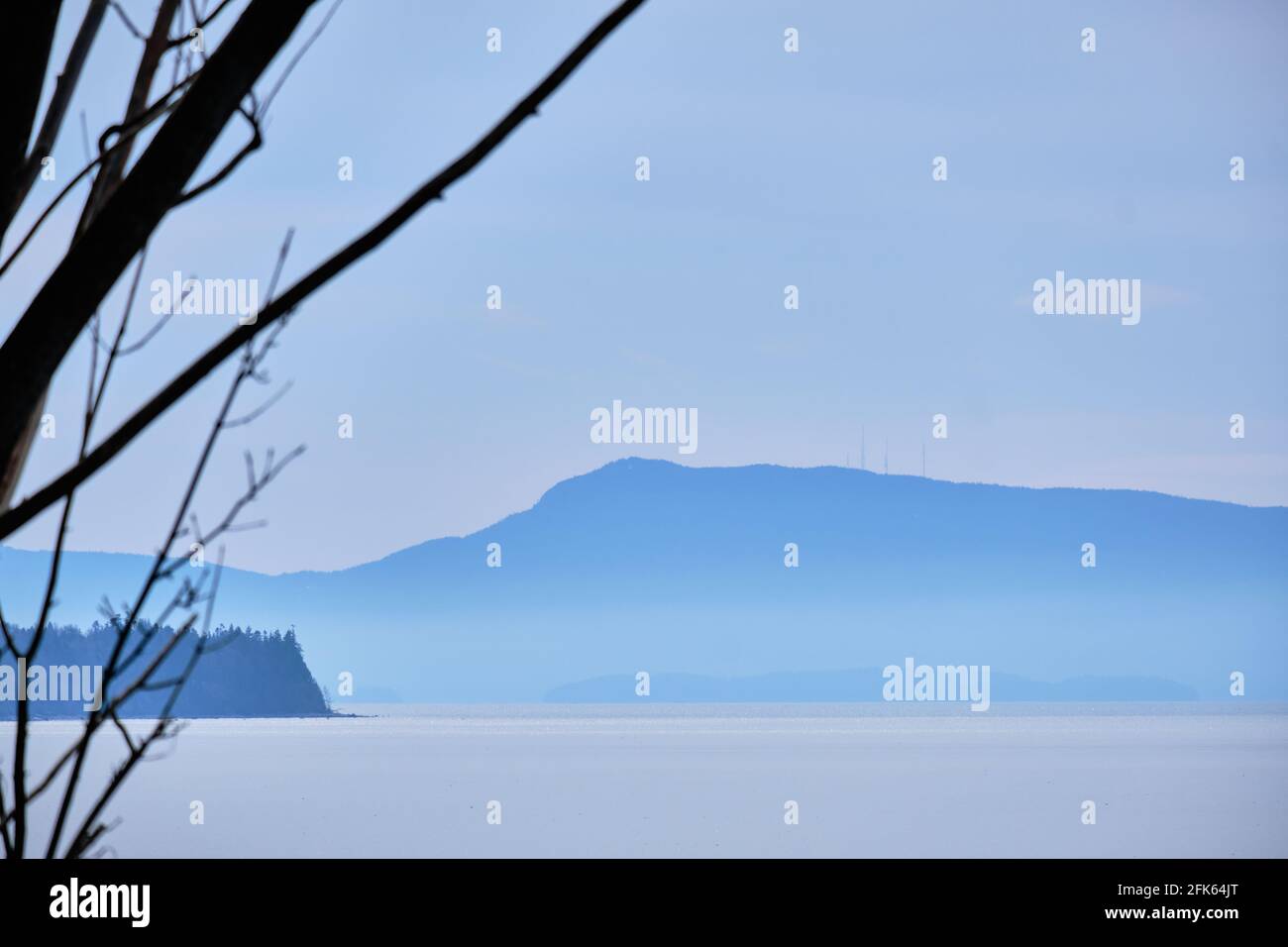 Orcas Island s'élève au-dessus de la mer et s'embue dans cette image monochrome. La silhouette floue de l'arbre au premier plan ajoute de l'intérêt. Banque D'Images