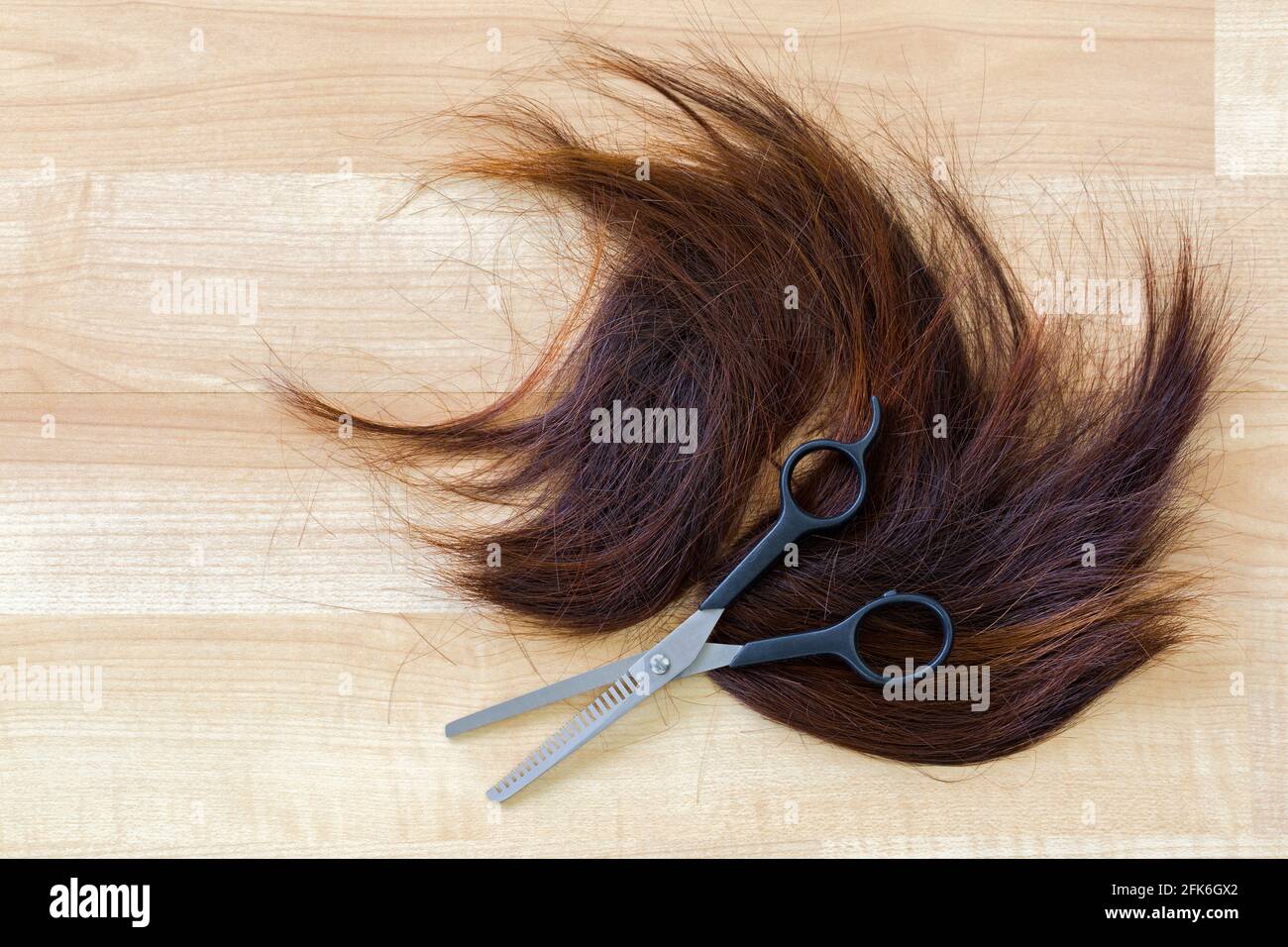 Paire de ciseaux, ciseaux d'éclaircie sur un bouquet de cheveux rouges coupés coupés sur le plancher en bois au salon de coiffure, avec espace d'imitation Banque D'Images