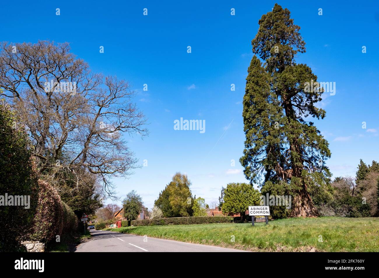 Abinger Common, un petit village situé dans une belle région de bois et de campagne à proximité de Leith Hill dans les collines de Surrey, au sud-est de l'Angleterre- Banque D'Images