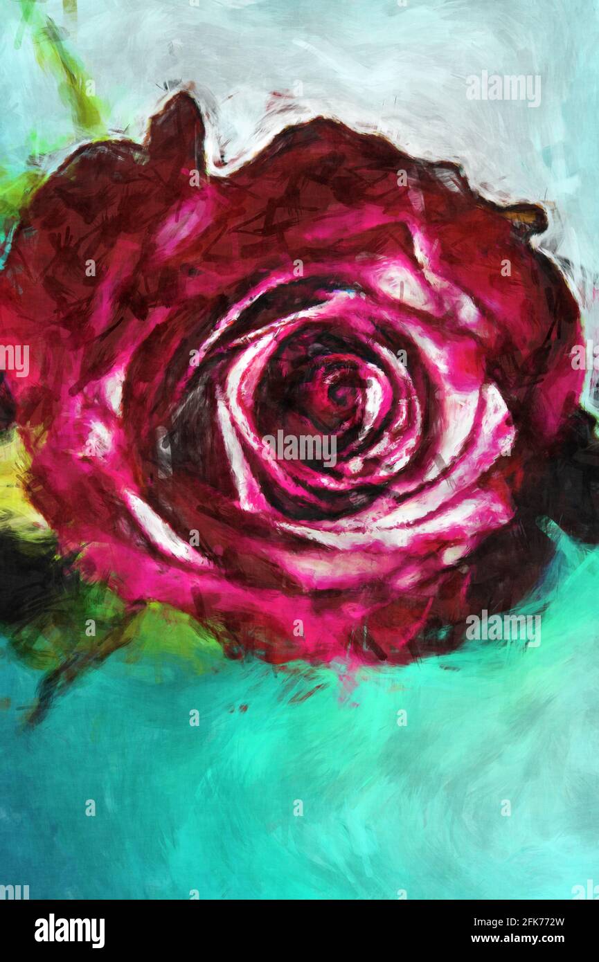 fleur rose pourpre avec effet paineux Banque D'Images