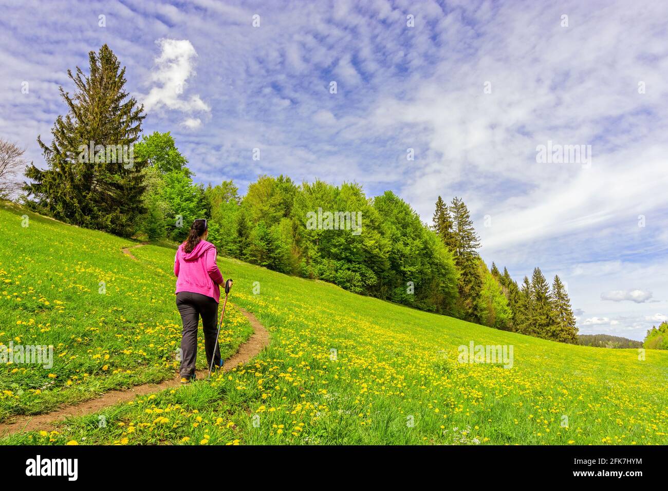 Femme randonnée sur un sentier dans un pré vert sous ciel bleu. Allgau, Bavière, Allemagne Banque D'Images
