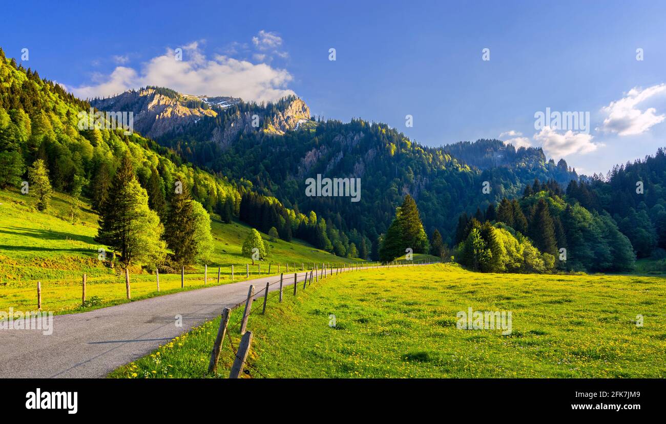 Montagnes, prairies et forêt sous ciel bleu dans les Alpes d'Allgau. Bavière, Allemagne Banque D'Images