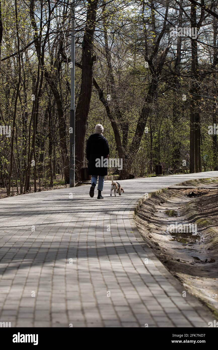 Femme adulte de taille moyenne marchant avec un beagle dans le parc public. Banque D'Images