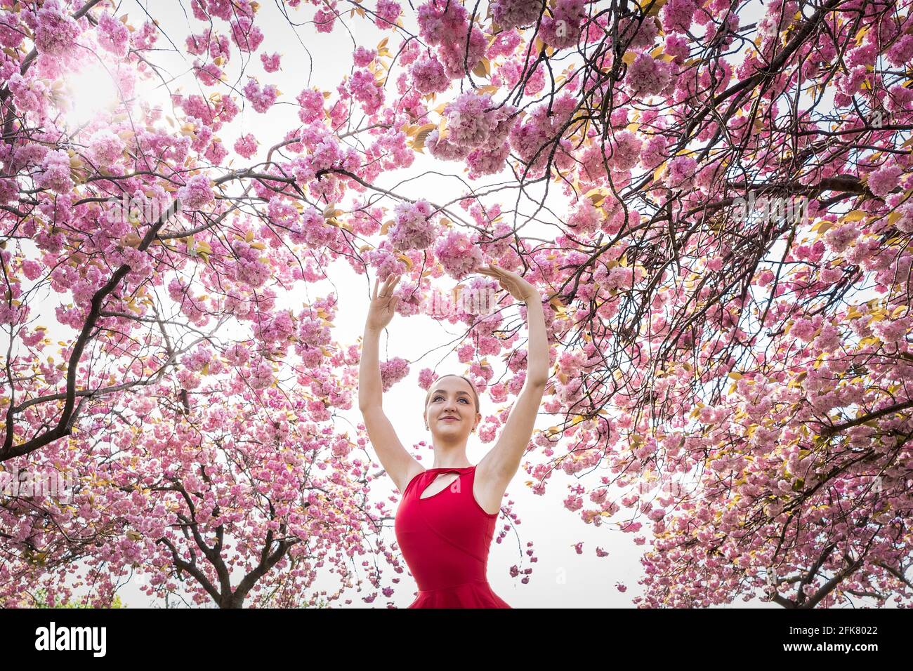 Londres, Royaume-Uni. 29 avril 2021. Journée internationale de la danse : l'ARIA Tilah, étudiant à l'Académie royale de danse, se produit parmi les magnifiques cerisiers en fleurs de Greenwich Park lors de la Journée internationale de la danse. Célébrée pour la première fois en 1982, la Journée internationale de la danse a lieu chaque année depuis l'anniversaire de la naissance de Jean-Georges Noverre (1727-1810), considéré comme le créateur du ballet moderne. Credit: Guy Corbishley/Alamy Live News Banque D'Images